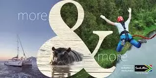 South Africas e-visa procurement portal now operational – Official South Africas e-visa procurement portal now operational – Official