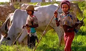 Traditional ruler tasks Fulanis on proper upbringing of children