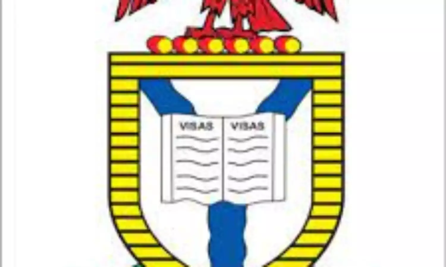 NIS hands over Libya bound 13-yr-old-girl to NAPTIP