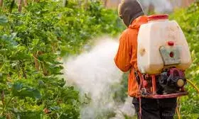 Stakeholders task FG on removal of hazardous pesticides