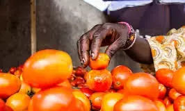 Stakeholders in SEast proffer solutions to deficit in strategic food reserves