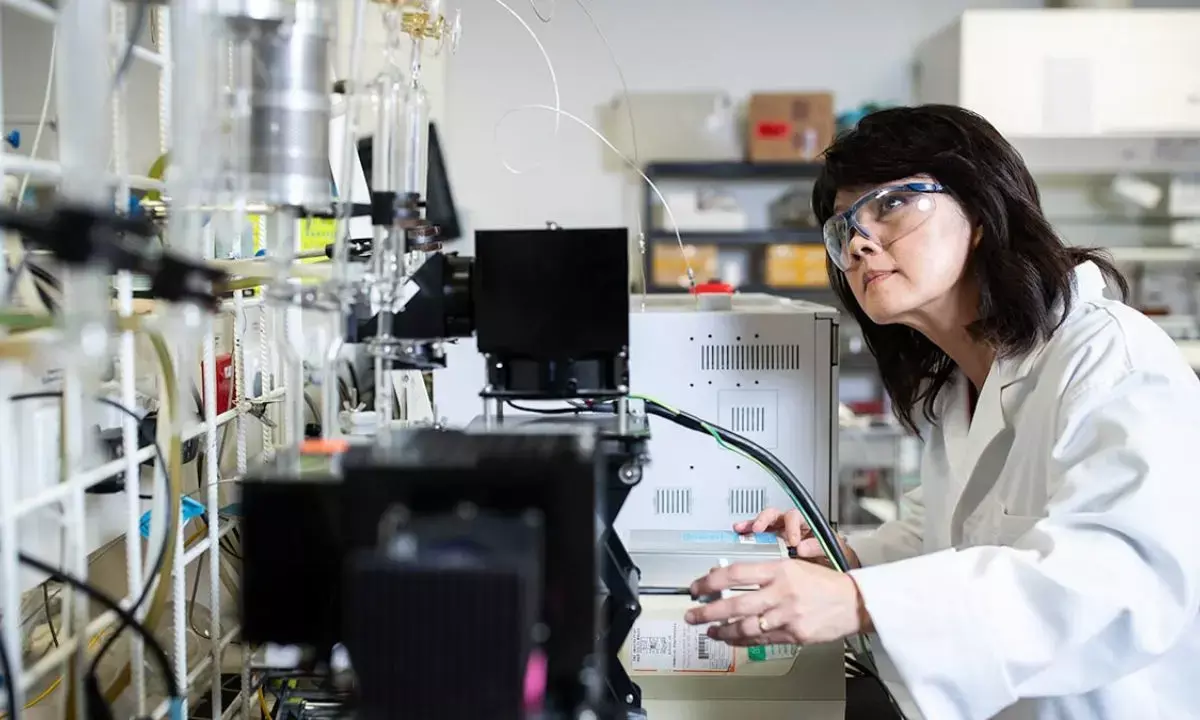 Australian breakthrough blood stem cell research to possibly change future medicine