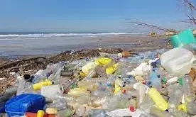 Foundation collaborates with Coca-Cola to curb plastic pollution