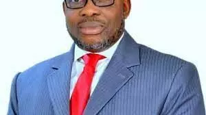 New legal year: Ubani urges more functional system