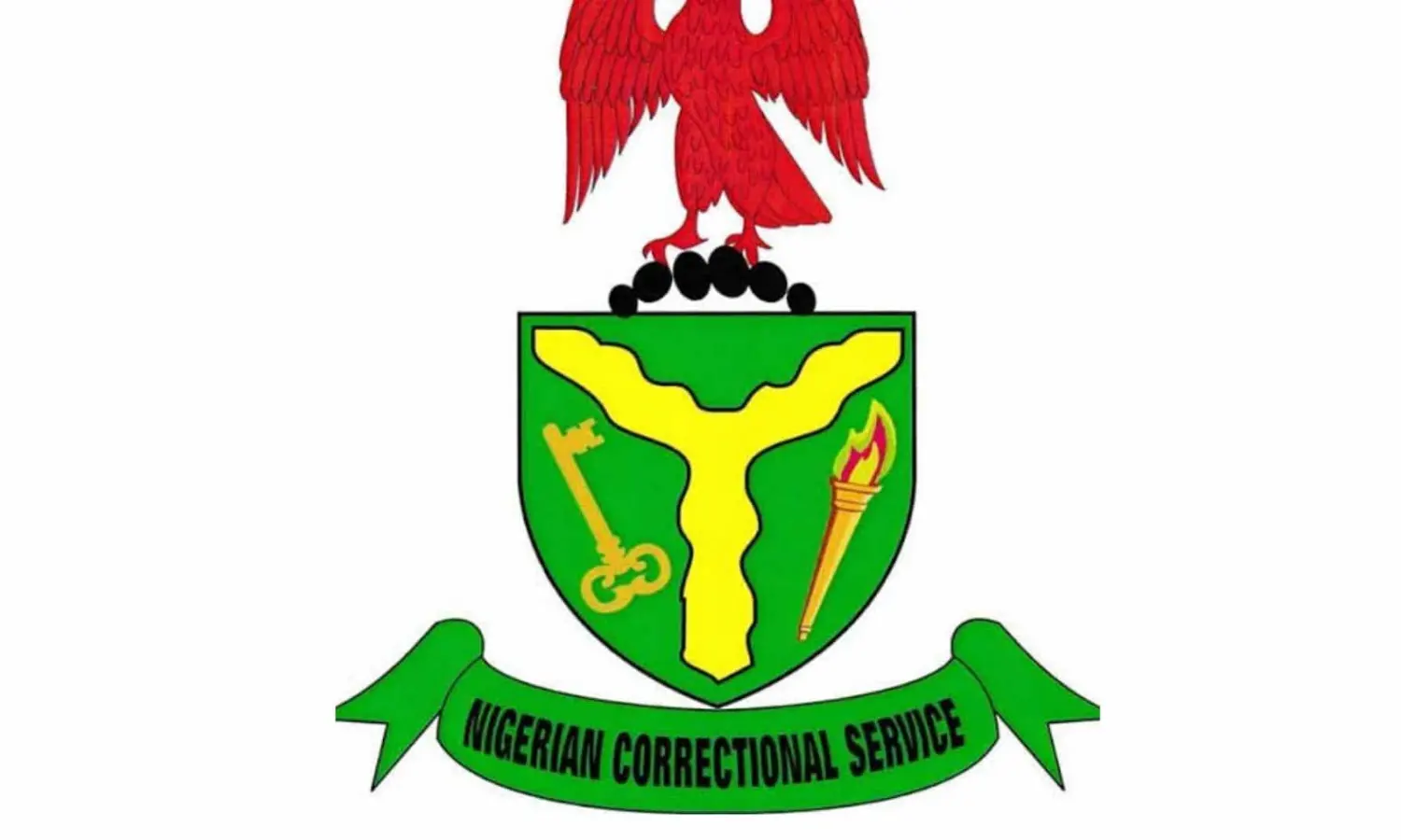 No recruitment avoid scammers, NCoS cautions job seekers