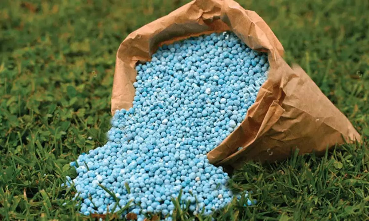 Why fertiliser price is high – FG