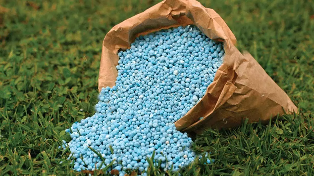 Why fertiliser price is high – FG