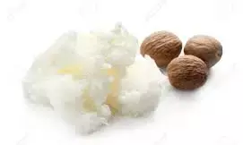 NEPC restates commitment to expanding shea exports –Yakusak