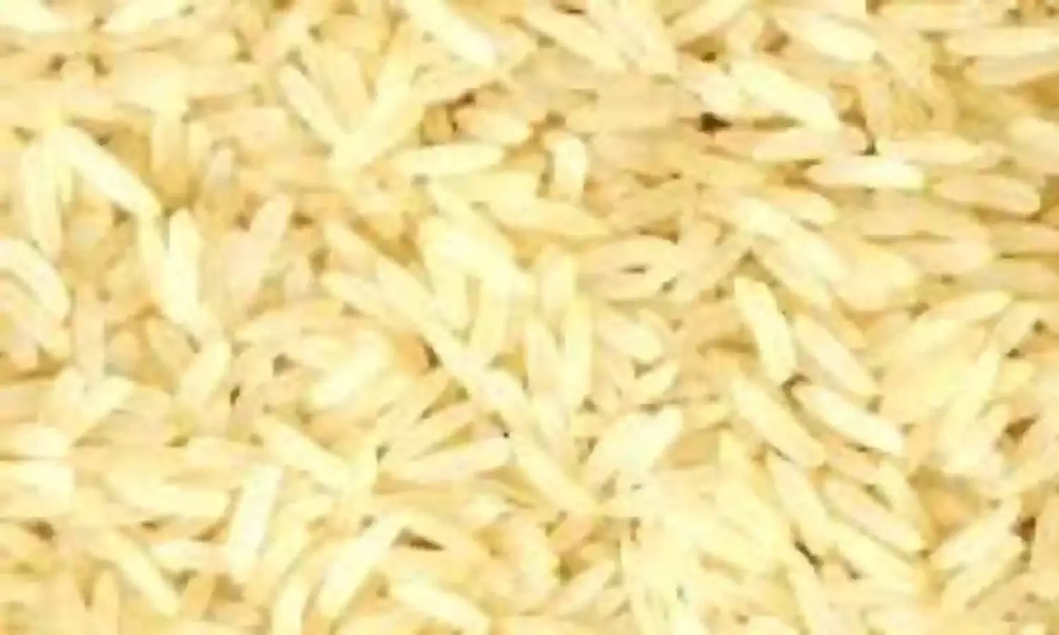 NCRI trains 150 youth, women farmers on rice preservation