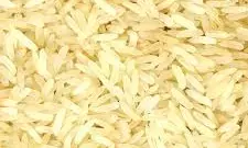 NCRI trains 150 youth, women farmers on rice preservation NCRI trains 150 youth, women farmers on rice preservation