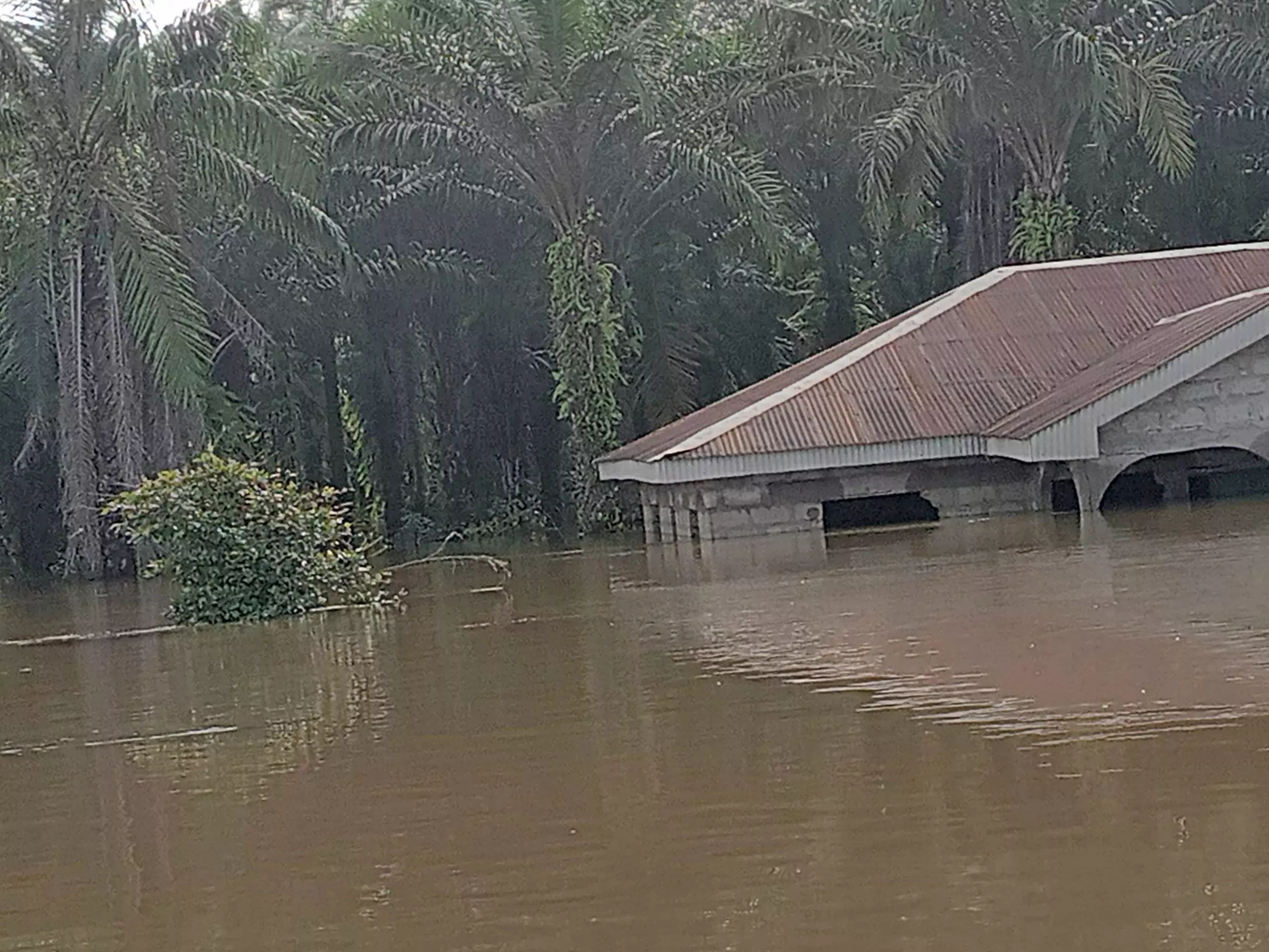 3 Delta Commissioners give flood victims N6 million 3 Delta Commissioners give flood victims N6 million