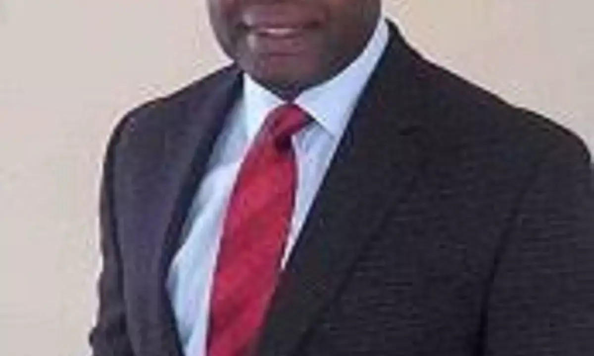 2023 Poll: LP appoints Oparaoji as U.S chapter caretaker chairman