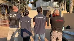 Financial crimes, cybercrime worlds greatest threats –Interpol