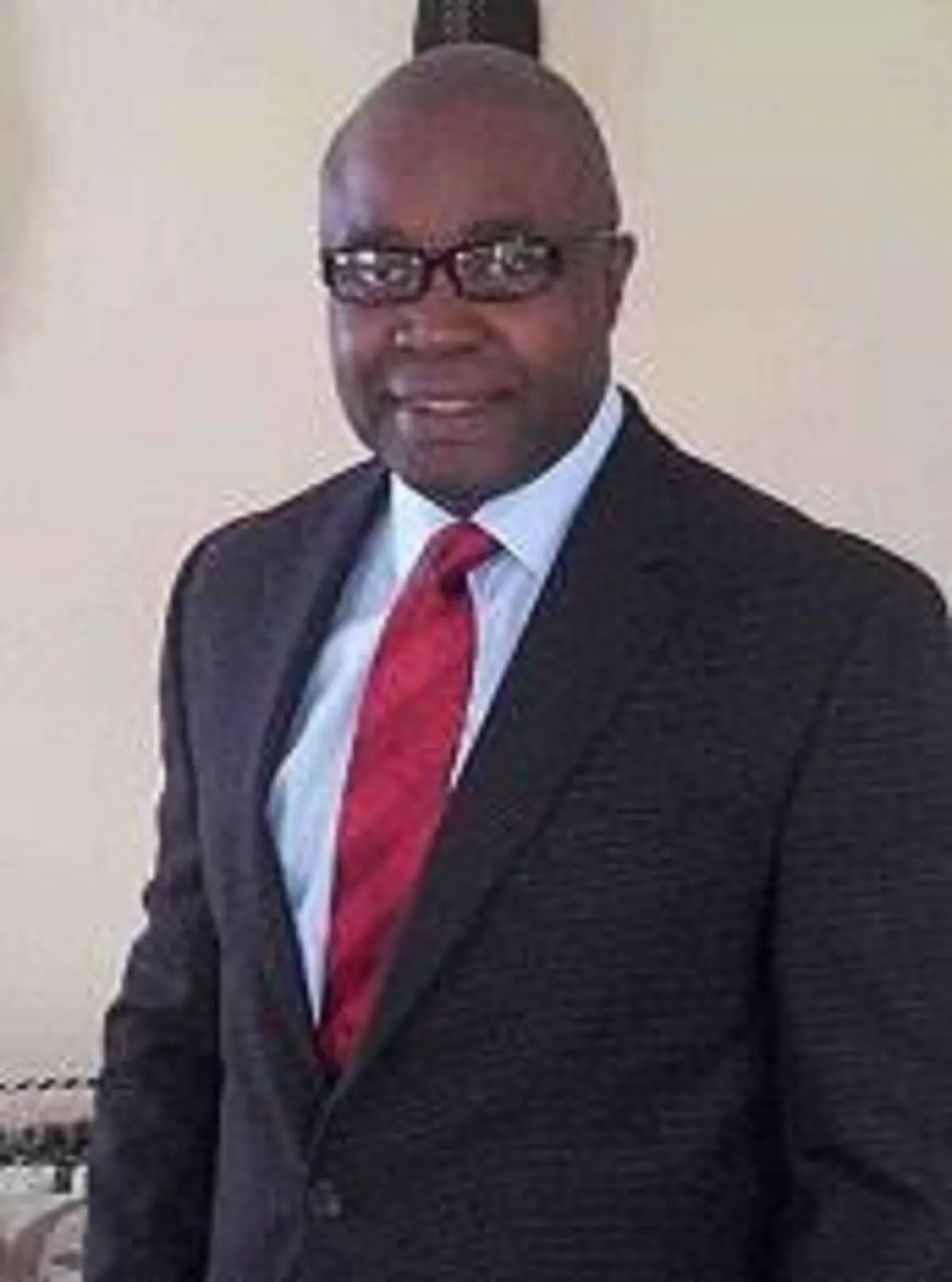 2023 Poll: LP appoints Oparaoji as U.S chapter caretaker chairman