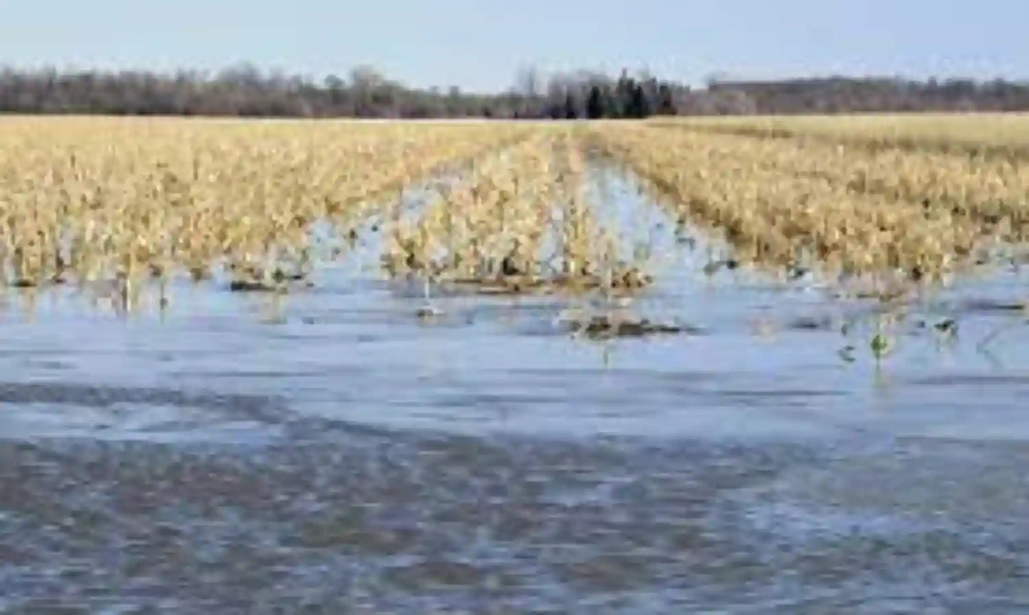 Architects list flood-related solutions, seek for FGs assistance