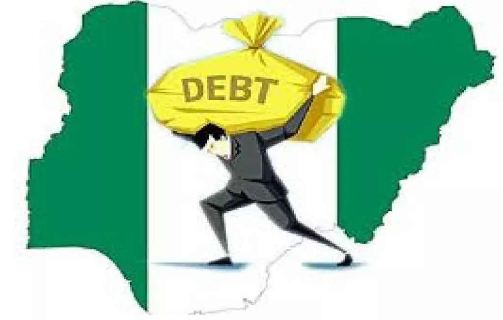 Experts support FG extending debt payment
