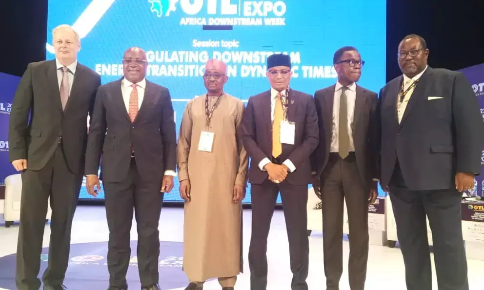 Downstream operators criticize supervisory role of lawmakers