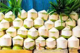Southeast Asian coconuts gain popularity in China Southeast Asian coconuts gain popularity in China