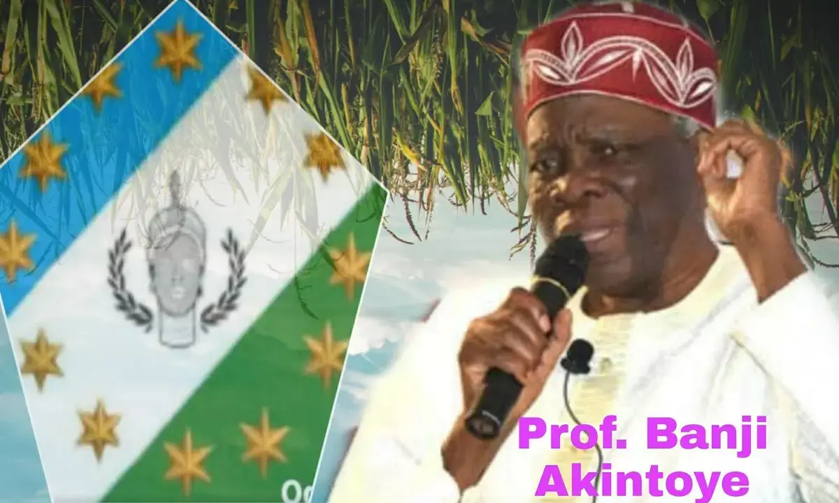 Prof. Akintoye has no mandate to speak for Yoruba — APC PCC