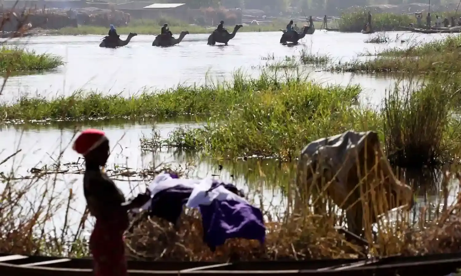FG moves to protect, revitalize Lake Chad Basin