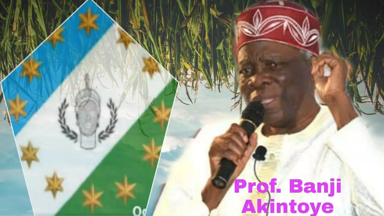 Prof. Akintoye has no mandate to speak for Yoruba — APC PCC