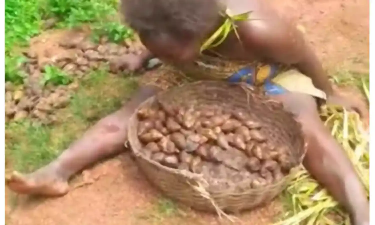 Group decry stripping widow naked for picking snails