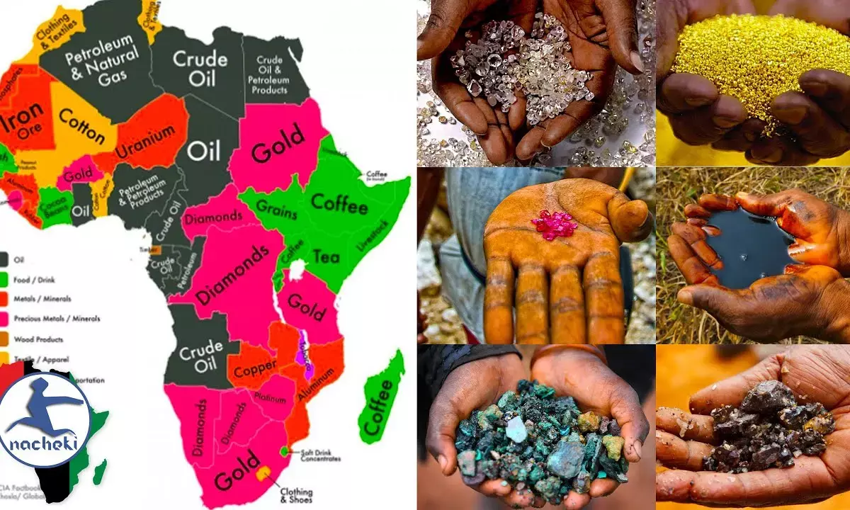 Leveraging Africas natural resources to drive industrial, economic devt