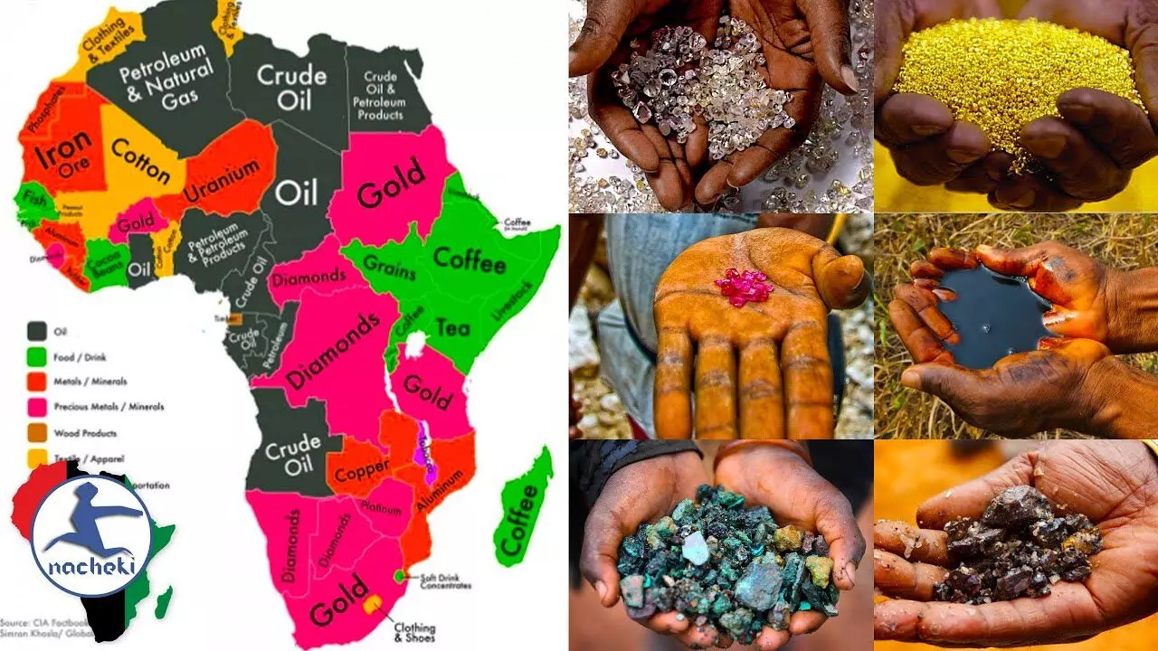 Leveraging Africas natural resources to drive industrial, economic devt