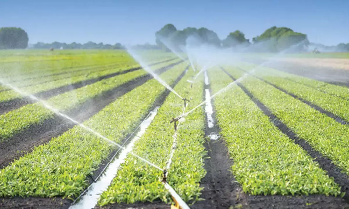 FG delivers 228 hectares Gari Irrigation project to Jigawa, Kano farmers