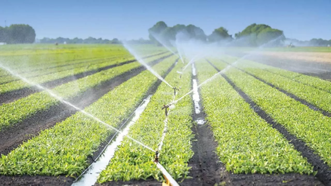 FG delivers 228 hectares Gari Irrigation project to Jigawa, Kano farmers