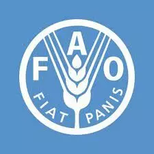 Global food imports to hit $2rtn - FAO Global food imports to hit $2rtn - FAO