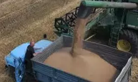 Russia plans to increase grain exports in 2023