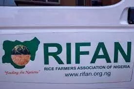 Nigeria to start exporting rice to Egypt, as RIFAN, Tiamin sign MoU Nigeria to start exporting rice to Egypt, as RIFAN, Tiamin sign MoU