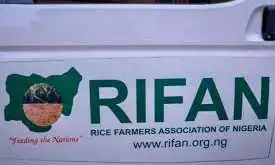 Nigeria to start exporting rice to Egypt, as RIFAN, Tiamin sign MoU