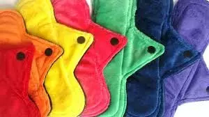 Rotary Club offers sanitary pad to schoolgirls