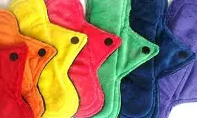 Rotary Club offers sanitary pad to schoolgirls Rotary Club offers sanitary pad to schoolgirls