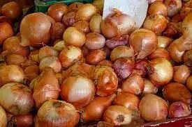 Nigeria yet to meet nations need for 2.44m metric tonnes of onion