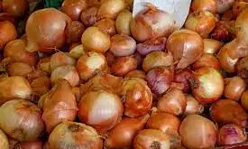 Nigeria yet to meet nations need for 2.44m metric tonnes of onion