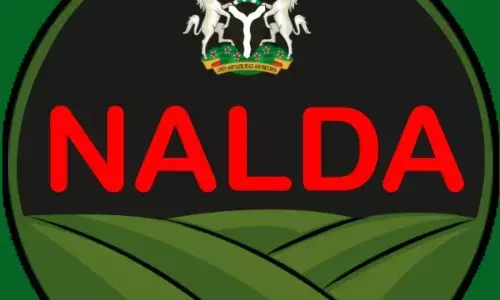 Buhari to deliver NALDA rating on December 8th