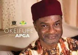 Our government will take decisive action to combat insecurity – Frank Nweke