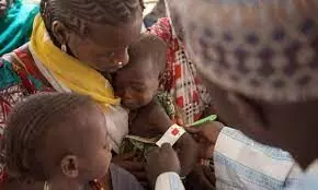 2023: UN issues new hunger warning for West, Central Africa
