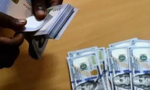 Naira falls 0.04% against dollar
