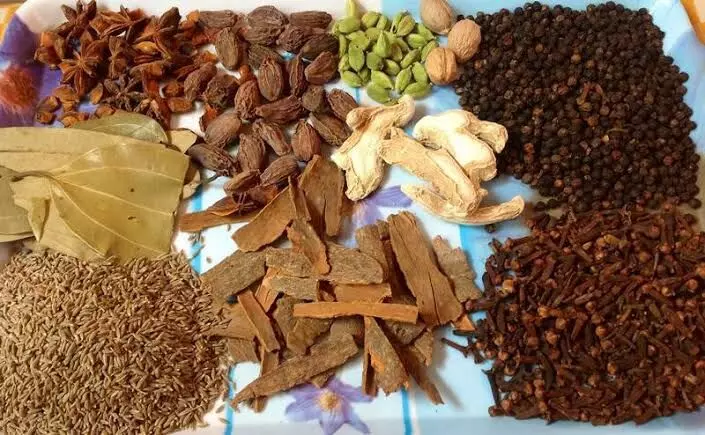 Student earns in N80,000 monthly from spices trade