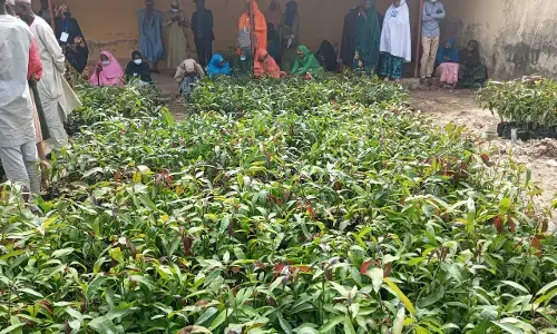 Group trains 100 Katsina farmers on mango value chain Group trains 100 Katsina farmers on mango value chain