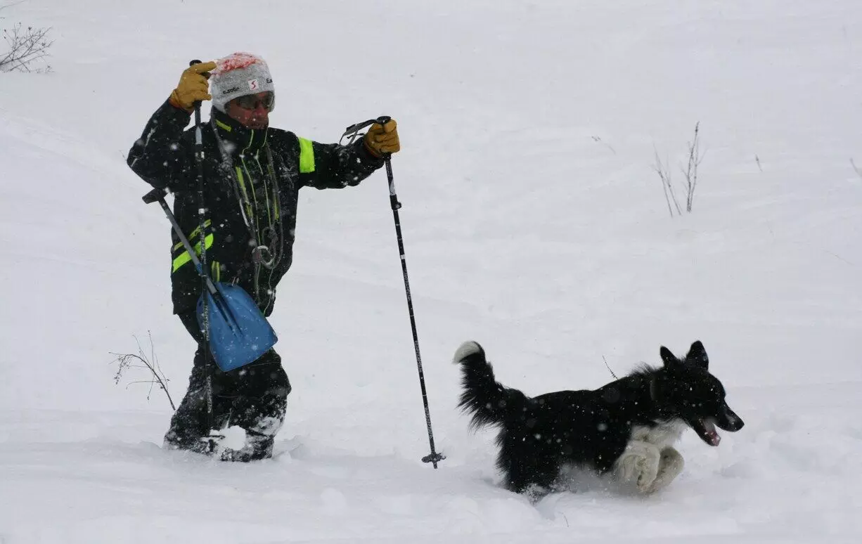 Man dies in avalanche while searching for his dogs