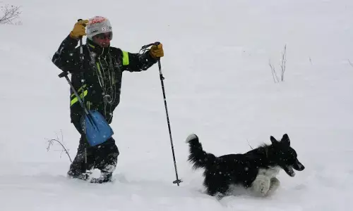 Man dies in avalanche while searching for his dogs