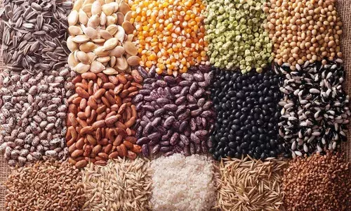 Ukraine to establish grain hubs in Nigeria