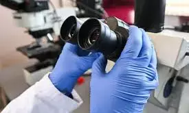 Research: Deep meditation can enhance gut flora