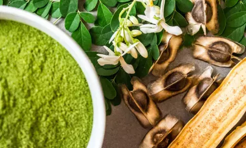 Export Council supports Katsina farmers to boost moringa production