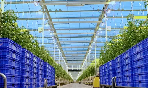 Expert wants government support for smart-agriculture adoption